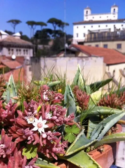 Domus Valeria Guest House Rome